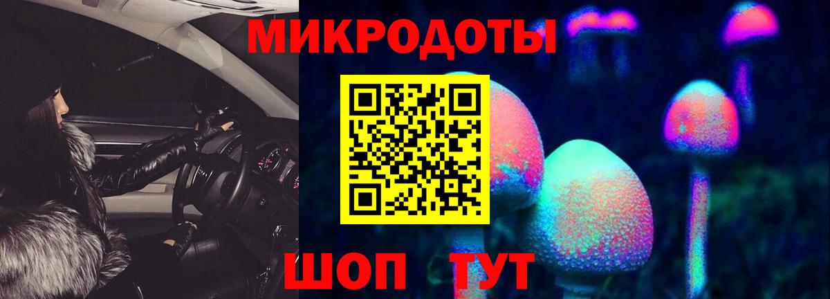 Галлюциногенные грибы мухоморы Заволжье